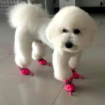 Pet Dogs Winter Shoes Rain Snow Waterproof Booties Socks Rubber Anti-slip Shoes For Small Dog Puppies Footwear Pet Products Cute - Image 2